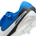 Nike Tiempo Legend 10 Pro AG-Pro
