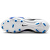 Nike Tiempo Legend 10 Academy FG/MG