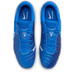 Nike Tiempo Legend 10 Academy Indoor