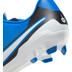 Nike Tiempo Legend 10 Club FG/MG