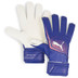 Puma Ultra Match RC