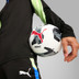 Puma LIGA Training Top