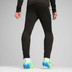 Puma Liga Trainingspak