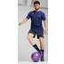 Puma League Training Set