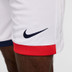 Nike Paris Saint-Germain Away Kit
