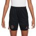 Nike Paris Saint-Germain Strike Short Kids