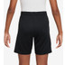 Nike Paris Saint-Germain Strike Short Kids