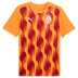 Puma Galatasaray Pre-Match Shirt 2024/2025