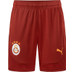 Puma Galatasaray Trainingsset
