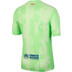Nike FC Barcelona Tredjetröja Fotboll kit 
