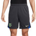 Nike FC Barcelona Strike Training Set