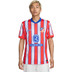 Nike Atletico Madrid Thuis Shirt 2024/2025