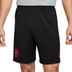 Nike Chelsea 3rd Tenue