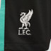 Nike Liverpool Uit Tenue