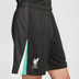 Nike Liverpool Uit Tenue