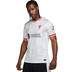 Nike Liverpool 3rd Tenue