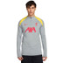 Nike Liverpool Strike Drill Top 2024/2025