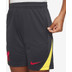 Nike Liverpool Strike Short Kids 2024/2025
