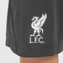 Nike Liverpool Academy Pro Träningsset Barn