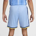 Nike Tottenham Hotspur Uit Short 2024/2025