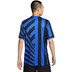 Nike Inter Milan Hemmaställ
