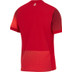 Nike Poland Away Socks 2024/2026