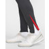 Nike Türkei Strike Hose