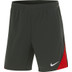 Nike Türkei Strike Short