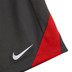Nike Türkei Strike Short
