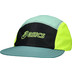 ASICS 5 Panel Pet