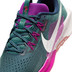 Nike Pegasus Trail 5 Heren