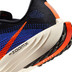 Nike Pegasus Plus Heren