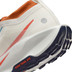 Nike Pegasus Trail 5 GTX Heren