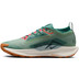 Nike Pegasus Trail 5 GTX Heren