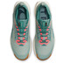 Nike Pegasus Trail 5 GTX Heren