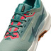 Nike Pegasus Trail 5 GTX Heren