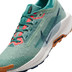 Nike Pegasus Trail 5 GTX Heren