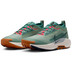 Nike Pegasus Trail 5 GTX Heren