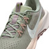 Nike Pegasus Trail 5 Dames