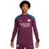 Nike Paris Saint-Germain Strike Trainingsanzug
