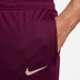 Nike Paris Saint-Germain Strike Trainings-Set