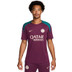Nike Paris Saint-Germain Strike Top 2024/2025