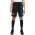 Nike Inter Milan Heim Outfit-Kombi Kinder