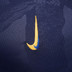Nike Inter Milan Pre-Match Top 2024/2025