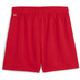 Puma TeamGoal Handball Shorts Women