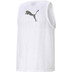 Puma Hesje