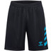 Hummel Graphic Universe Shorts Men