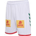 SC Magdeburg 24/25 Bortashorts