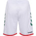 SC Magdeburg 24/25 Bortashorts