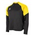 Stanno Bolt Quarter-Zip Top Herr